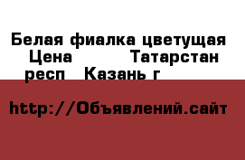 Белая фиалка цветущая › Цена ­ 100 - Татарстан респ., Казань г.  »    